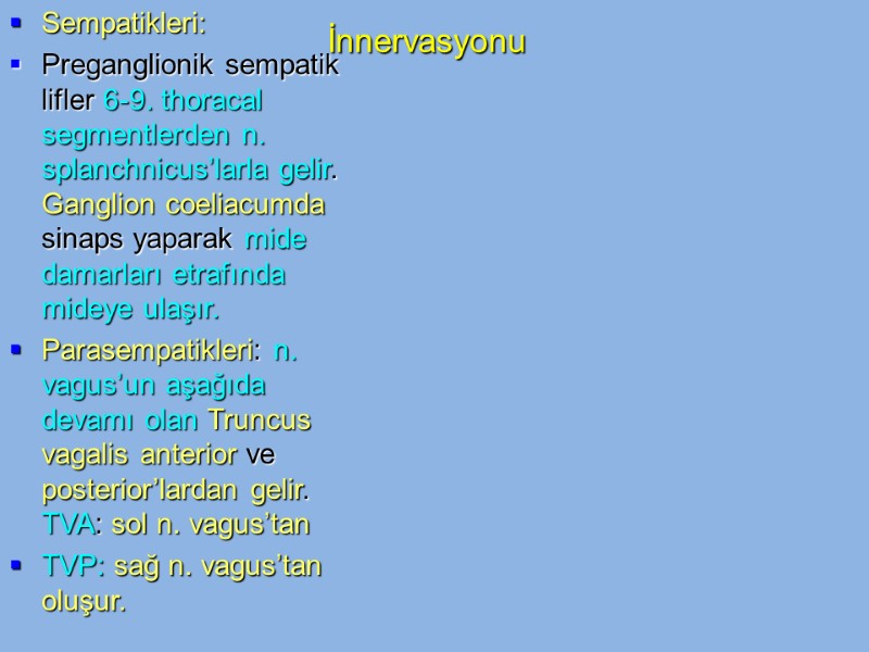 İnnervasyonu Sempatikleri: Preganglionik sempatik lifler 6-9. thoracal segmentlerden n. splanchnicus’larla gelir. Ganglion coeliacumda sinaps